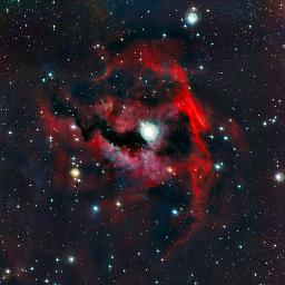 VegetableNinja's profile picture. Siggas Nation. #PromisedLand