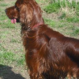 Theboldfionn's profile picture. @Together4Yes @repealeight