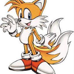 HI i am a 12 year old fox who loves building stuff for my pals sonic and gang

Bye!