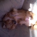 mona walker - @monawalker7 - Twitter