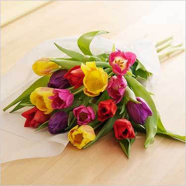 amnawwaf11's profile picture. 