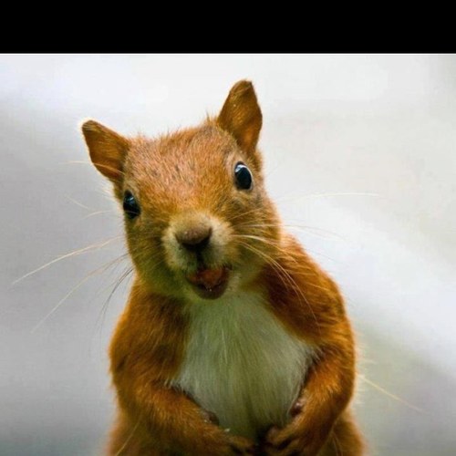 nata_grata's profile picture. 