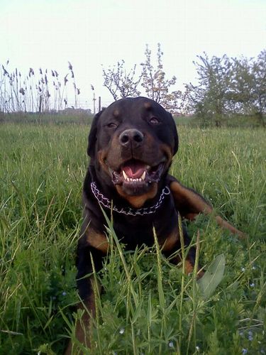 EufemiaApicella's profile picture. 