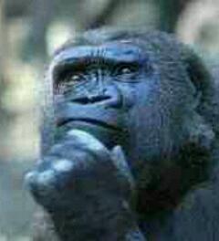 jomckenzie_g's profile picture. insane