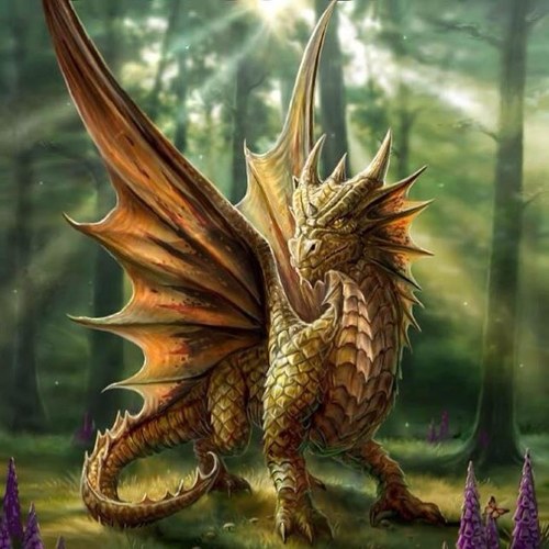 DragonLeche's profile picture. 