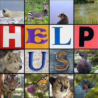 Lot's of animals are are becoming extinct but if all try together i am sure we can save them.