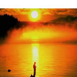 fcdefalabella's profile picture. 