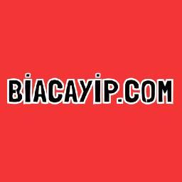 BiAcayip.com