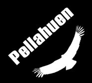 PELLAHUEN EXPEDICIONES es una empresa especializada en programas de naturaleza y aventura, y diversas actividades al aire libre.
