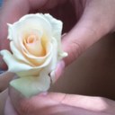 Lilly Ross - @2lillycross - Twitter