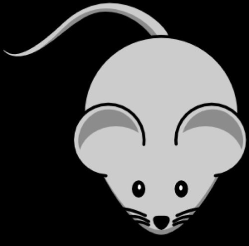 pinkanonymouse's profile picture. Just a mouse tweetin' and venting about its everyday life. Get ready for some complaining.