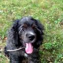 wanda folsom - @WandaFolsom - Twitter