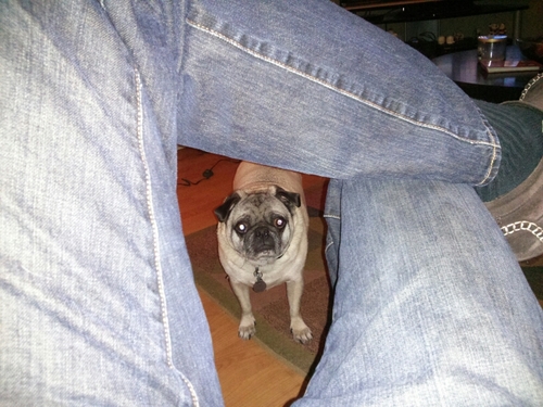 dpbassett's profile picture. Digital Marketing Specialist @ProVationMed