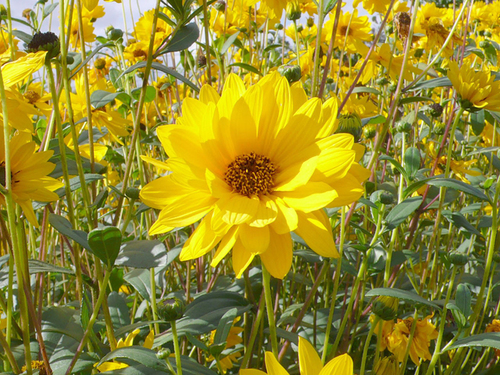 larmstrong871's profile picture. 