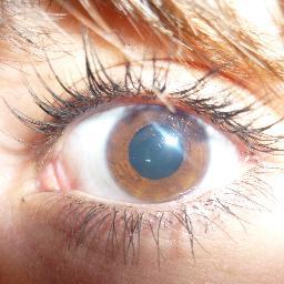 manue3391's profile picture. 