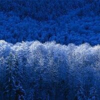 خالدحسن (@ttt_990) 's Twitter Profile