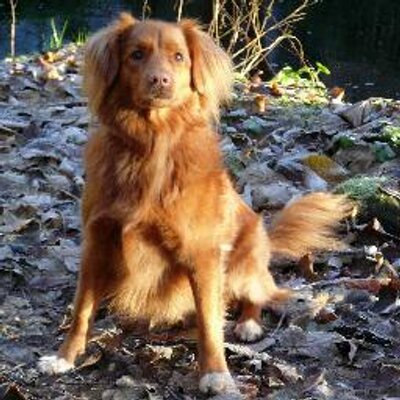 Profile Picture of AliH (@AlisonHerman2) on Twitter