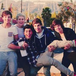 Amo 1d e esse twitter foi feito para quem ama!