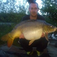 Neil hogan (@neilhogan87) 's Twitter Profile