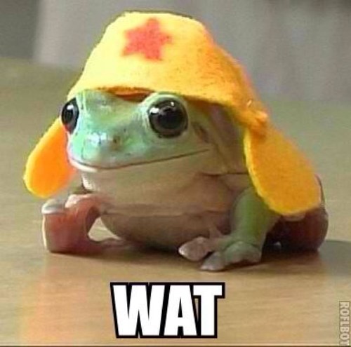 Yoyos, cute furrie things, yoyos, pet slugs, scooters, my pharmacist is hot, yoyos, The Herman Tunnel, media. Also, yoyos.