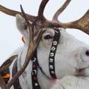 edwin watt-ruffell - @edwinwattruffel - Twitter