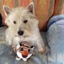 Marjorie Hand - @MajiHand - Twitter