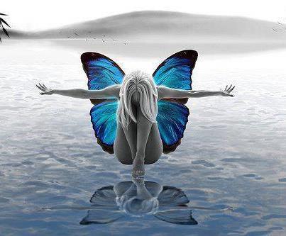 tanjaverena's profile picture. 