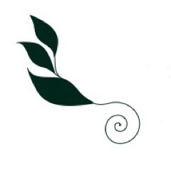 Holistic Health Guidance is the path to wellness through the art of nutrition.