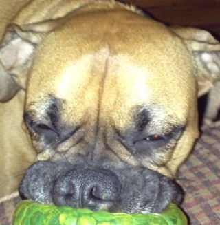 cvpc_fl's profile picture. Proud, “deplorable” citizen of USA.