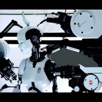 salad (@salad) 's Twitter Profile