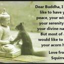 Maureen Crow - @MaureenMaritato - Twitter