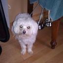 alain perron - @alainperron7 - Twitter