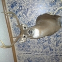 ryan guilfoyle - @guttercats31 - Twitter