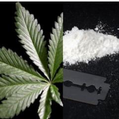 sexymeatjay's profile picture. follow me & ill follow back ( : 
mention for a follow back ..