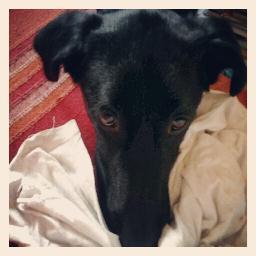 Fedefru76's profile picture. 