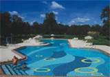 Swimming Pool Contractor