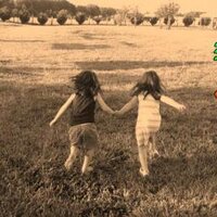 john sears (@searsbootcamp) 's Twitter Profile