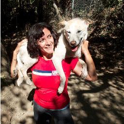 GetYourWagsOn's profile picture. Dog training & pack walks 🐾🐾