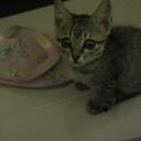 JOYCE TSAI - @BUBBLEGUN1983 - Twitter