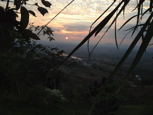 nichajam's profile picture. 