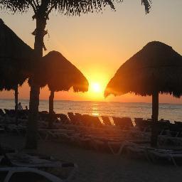 DanielleDerose1's profile picture. 