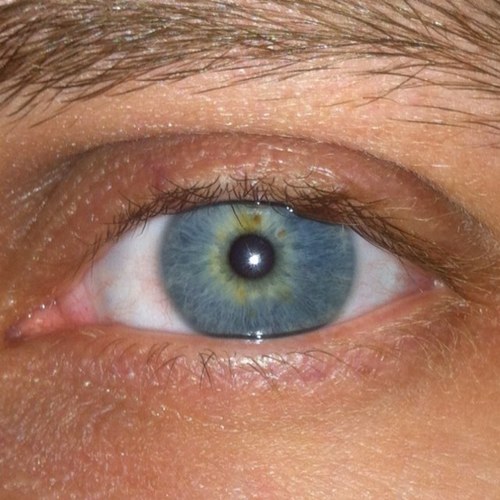 jeffsbald's profile picture. Mines a pint.................of tequila!!!!