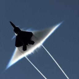 itscarlforeman's profile picture. 