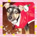 Brooke Lynn Wolff - @BrookeLynnWolff - Twitter