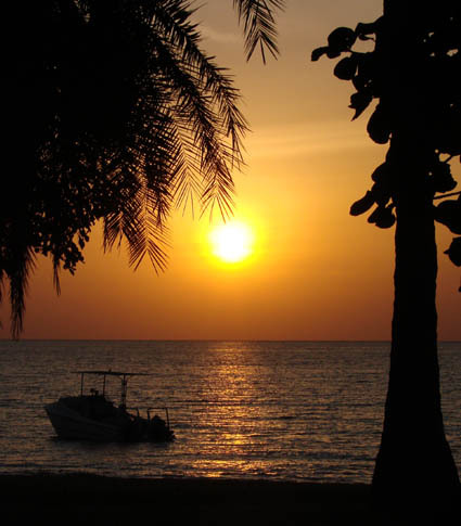 RusingaLodge's profile picture. 