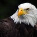 Patriots Watch (@moreofus2014) Twitter profile photo Patriots Watch (@moreofus2014) Twitter profile photo