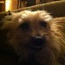 Michelle Mullins (@bamamullins) Twitter profile photo