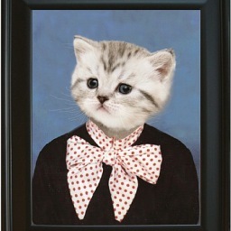 sephil's profile picture. 180cm graphic designer from Québec leaving in Tokyo