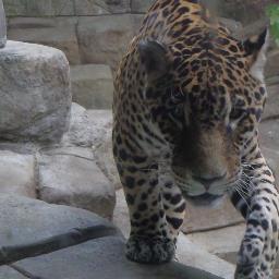 BlogTalkGirl's profile picture. 