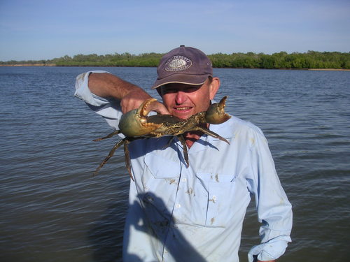 Wingster13's profile picture. 